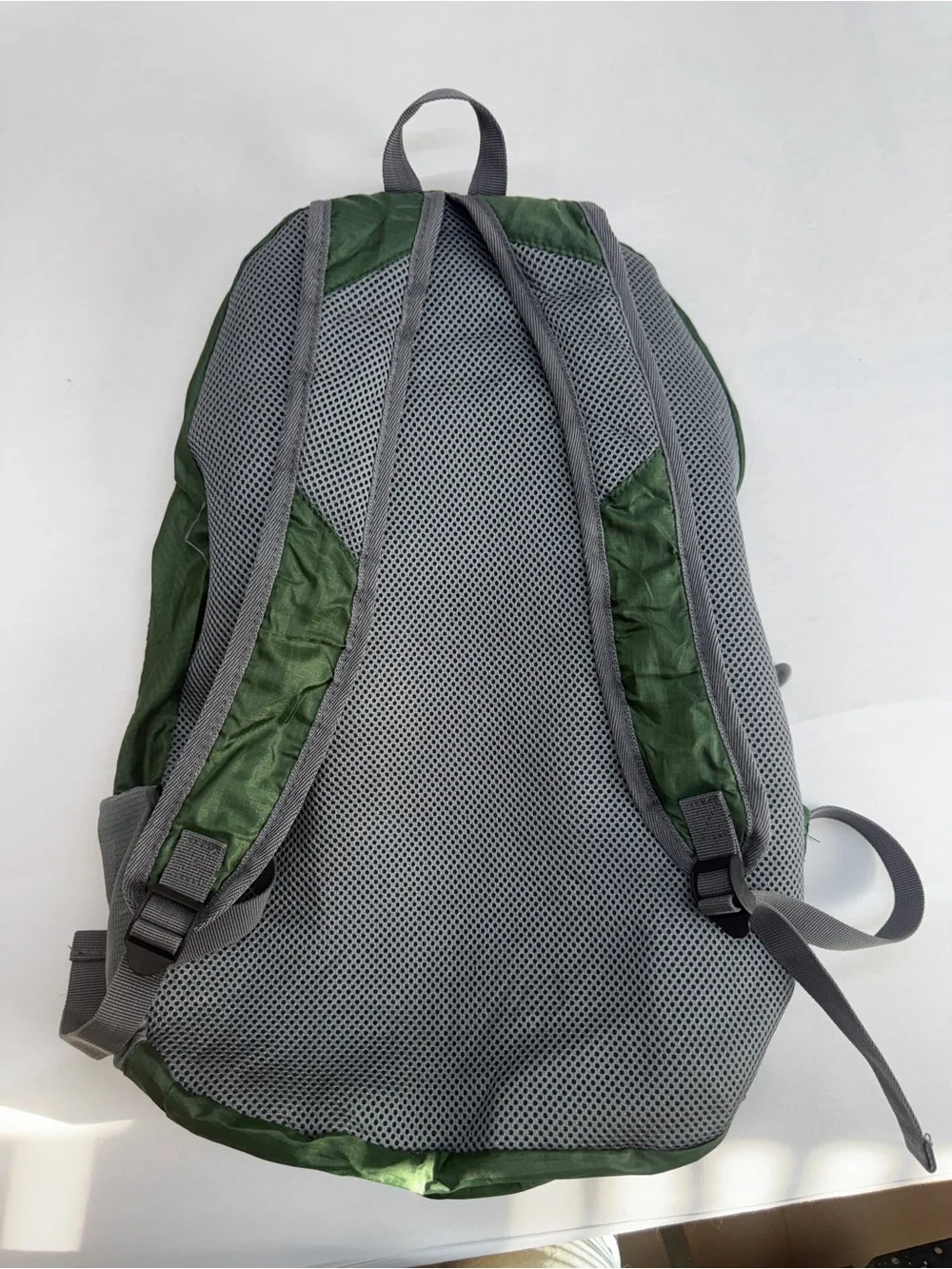 Travelon Green Backpack with Gray Accents